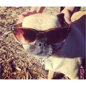 Meet your Posher, Rebecca